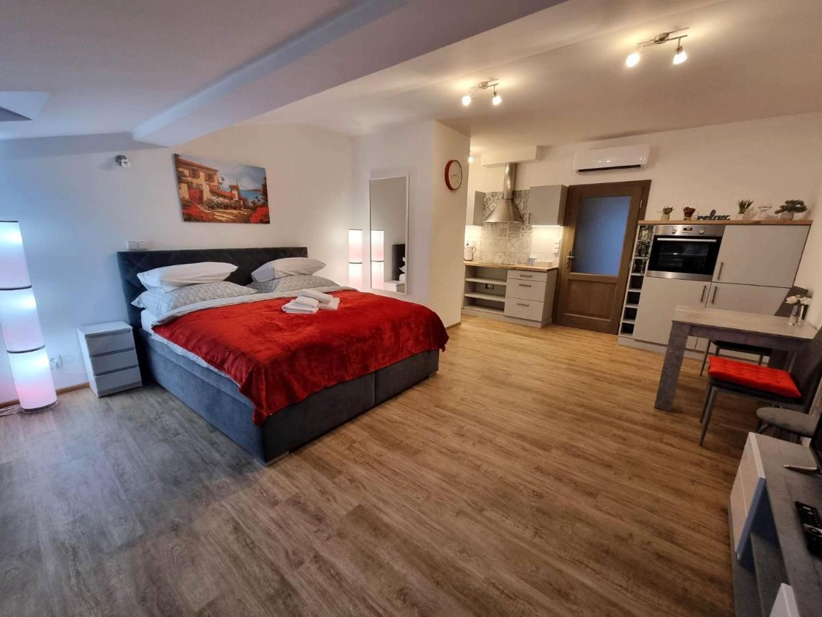 Podkrovni Studio Na Velkem Namesti S Wi-Fi Zdarma Hradec Králové Esterno foto