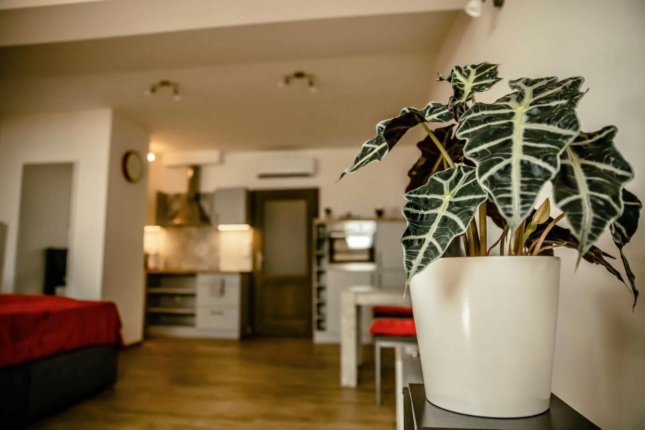 Podkrovni Studio Na Velkem Namesti S Wi-Fi Zdarma Hradec Králové Esterno foto